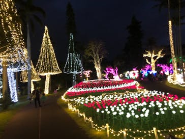 美らヤシパークオキナワ・東南植物楽園に投稿された画像（2021/11/28）