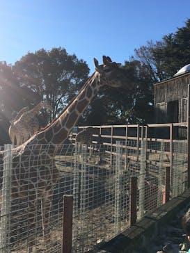 東武動物公園に投稿された画像（2021/11/28）