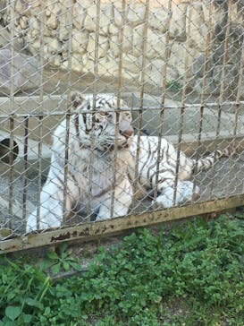 東武動物公園に投稿された画像（2021/11/28）