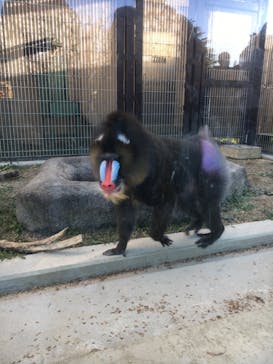 東武動物公園に投稿された画像（2021/11/28）