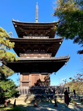 三溪園に投稿された画像（2021/11/28）