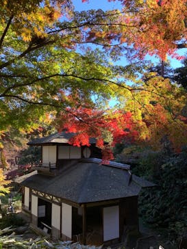 三溪園に投稿された画像（2021/11/28）