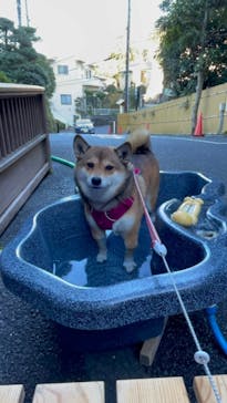 箱根の湯に投稿された画像（2021/11/28）