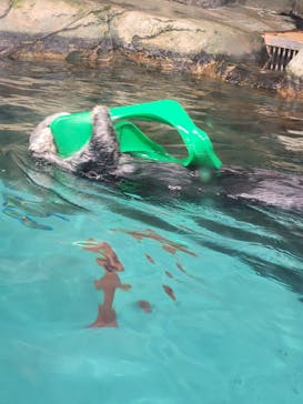 マリンワールド海の中道に投稿された画像（2021/11/28）