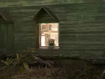 ひらかたパークに投稿された画像（2021/11/28）