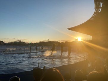 京都水族館に投稿された画像（2021/11/28）