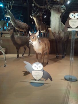 国立科学博物館に投稿された画像（2021/11/28）