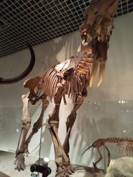 国立科学博物館に投稿された画像（2021/11/28）