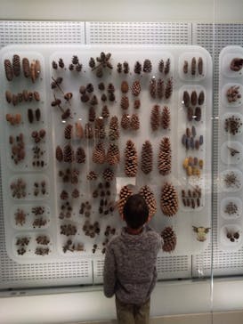 国立科学博物館に投稿された画像（2021/11/28）