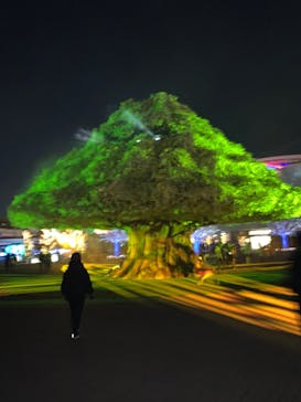 東京メガイルミに投稿された画像（2021/11/28）