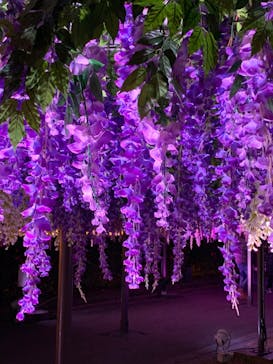 東京メガイルミに投稿された画像（2021/11/28）