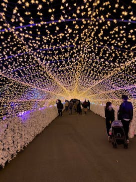 東京メガイルミに投稿された画像（2021/11/28）