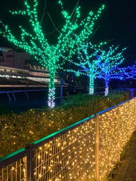 東京メガイルミに投稿された画像（2021/11/28）