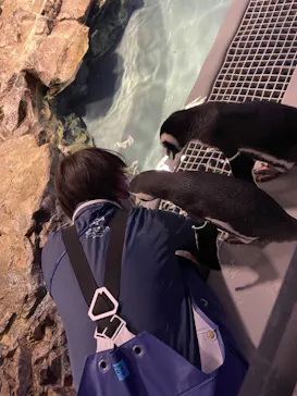 すみだ水族館に投稿された画像（2021/11/28）