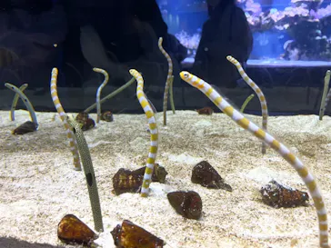 すみだ水族館に投稿された画像（2021/11/28）