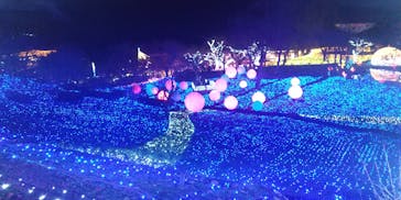 さがみ湖MORI MORIに投稿された画像（2021/11/28）