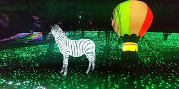 さがみ湖MORI MORIに投稿された画像（2021/11/28）