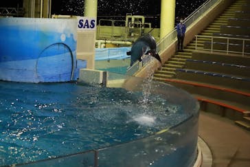 新江ノ島水族館に投稿された画像（2021/11/28）