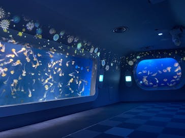 新江ノ島水族館に投稿された画像（2021/11/28）
