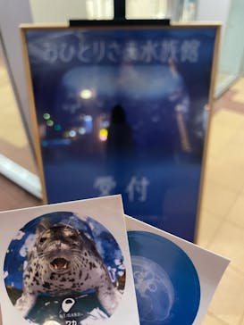 新江ノ島水族館に投稿された画像（2021/11/28）