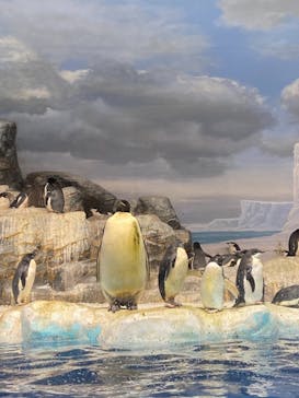 名古屋港水族館に投稿された画像（2021/11/28）