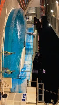 新江ノ島水族館に投稿された画像（2021/11/28）