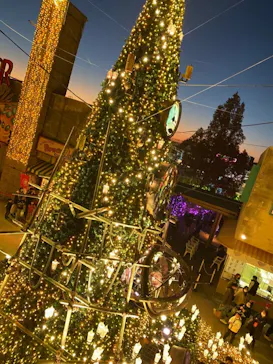 ひらかたパークに投稿された画像（2021/11/28）