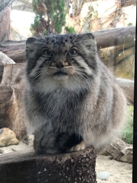 那須どうぶつ王国に投稿された画像（2021/11/28）