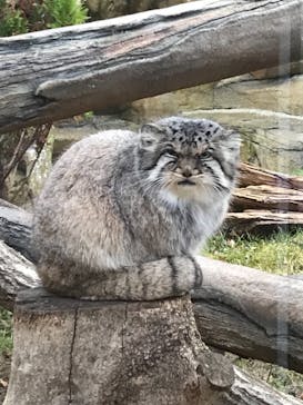 那須どうぶつ王国に投稿された画像（2021/11/28）