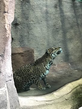 那須どうぶつ王国に投稿された画像（2021/11/28）