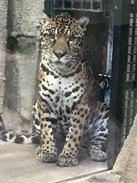 那須どうぶつ王国に投稿された画像（2021/11/28）