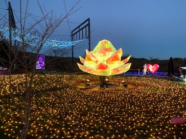 さがみ湖MORI MORIに投稿された画像（2021/11/28）