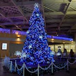 新江ノ島水族館に投稿された画像（2021/11/28）