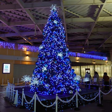 新江ノ島水族館に投稿された画像（2021/11/28）