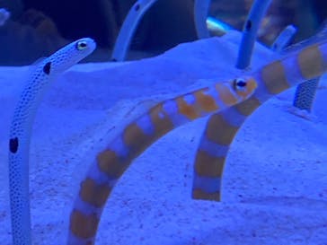 マリンワールド海の中道に投稿された画像（2021/11/28）