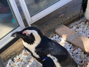 マリンワールド海の中道に投稿された画像（2021/11/28）