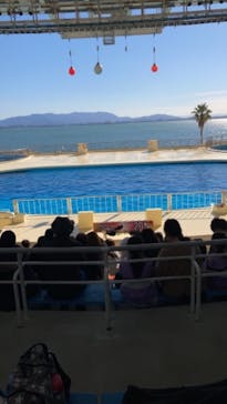 マリンワールド海の中道に投稿された画像（2021/11/28）