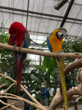 神戸どうぶつ王国に投稿された画像（2021/11/28）