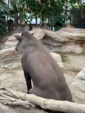 神戸どうぶつ王国に投稿された画像（2021/11/28）