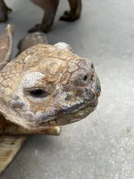 神戸どうぶつ王国に投稿された画像（2021/11/28）