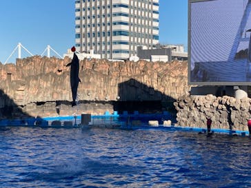 名古屋港水族館に投稿された画像（2021/11/28）