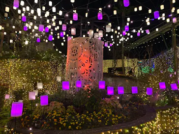 ひらかたパークに投稿された画像（2021/11/28）