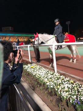 東京メガイルミに投稿された画像（2021/11/28）