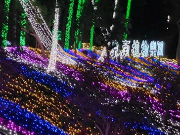 美らヤシパークオキナワ・東南植物楽園に投稿された画像（2021/11/28）