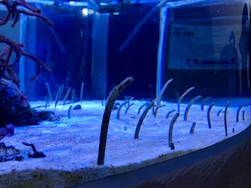 名古屋港水族館に投稿された画像（2021/11/28）