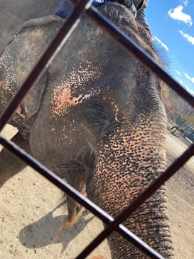 那須サファリパークに投稿された画像（2021/11/28）