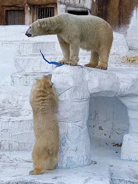 天王寺動物園に投稿された画像（2021/11/28）