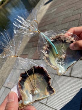 しながわ水族館に投稿された画像（2021/11/28）