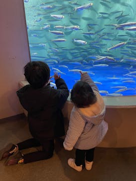 しながわ水族館に投稿された画像（2021/11/28）