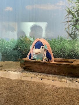 しながわ水族館に投稿された画像（2021/11/28）